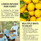 Hives Keeper Premium Lemon Infused Raw Honey - Singapore Formula 250g
