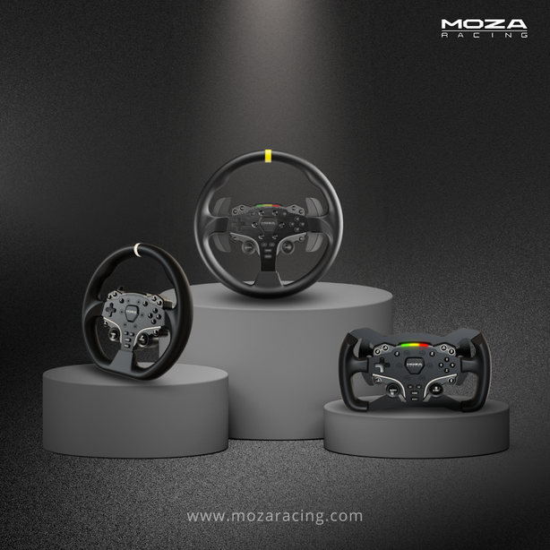 MOZA ES Wheel 12 Inch Round Wheel Mod Leather Grip