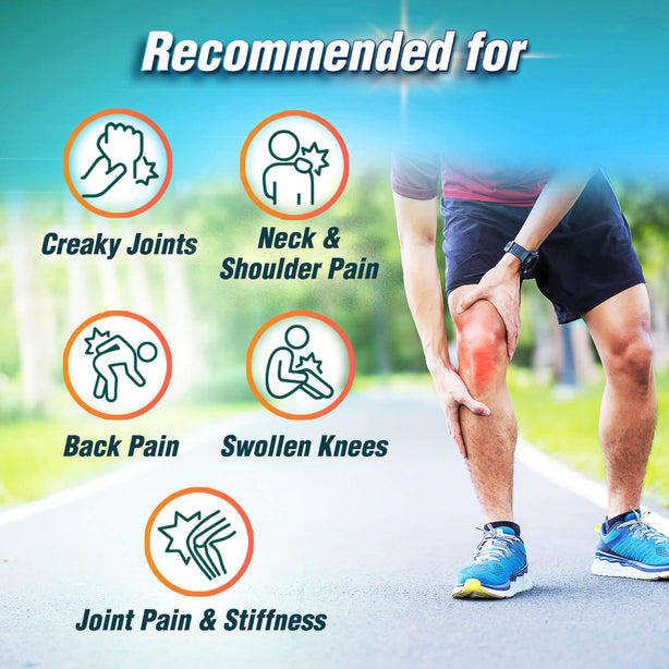 AFC Joint Sensei Supreme Glucosamine HCL Chondroitin for Shoulder Knee & Back Pain