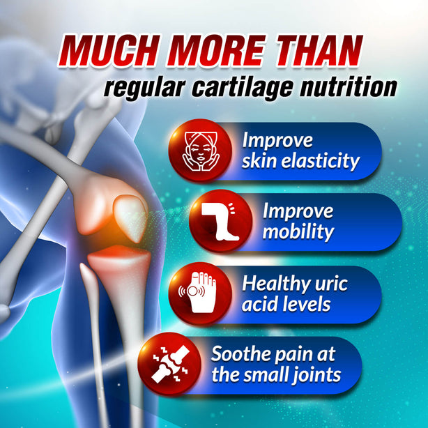 AFC SCP Cartilage Sensei Supreme Joint & Bone Pain & Healthy Uric Acid Level for Gout