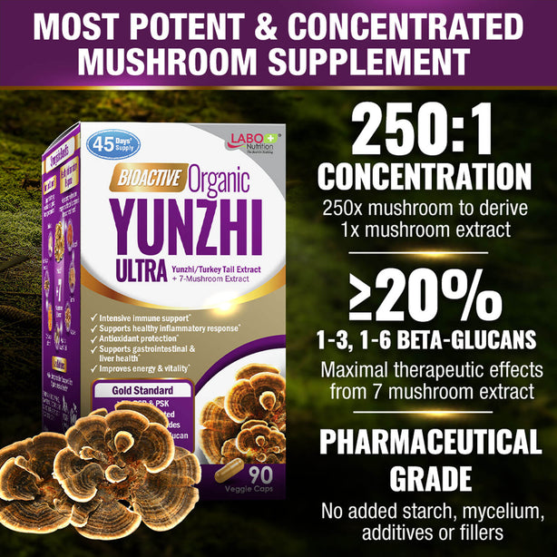LABO Nutrition Bioactive Organic Yunzhi for Intensive Immune Support & Recovery
