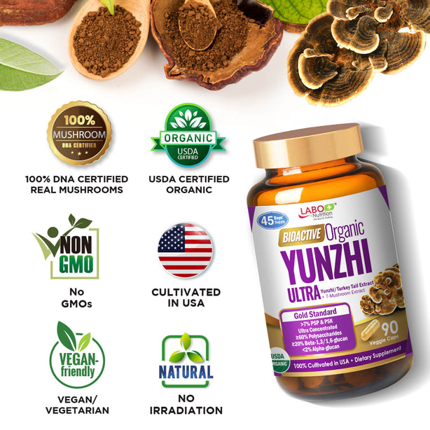 LABO Nutrition Bioactive Organic Yunzhi for Intensive Immune Support & Recovery