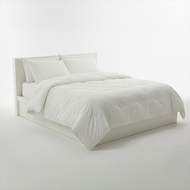 [Ships from Korea] ICTUS Mulberry Quilt