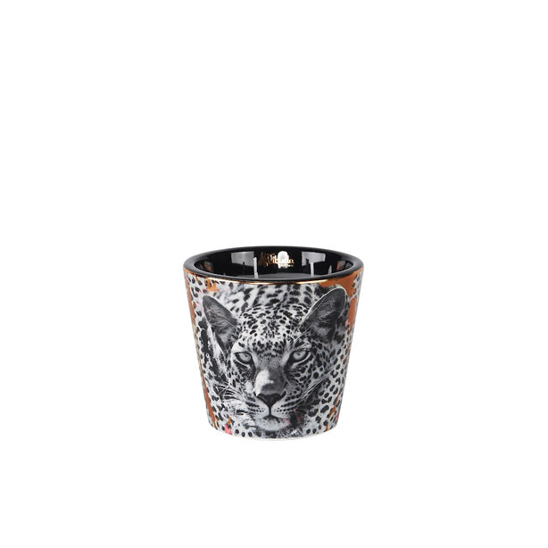 Artitude Home-Savannah Nights-Scented Candle By Walter Zuluaga