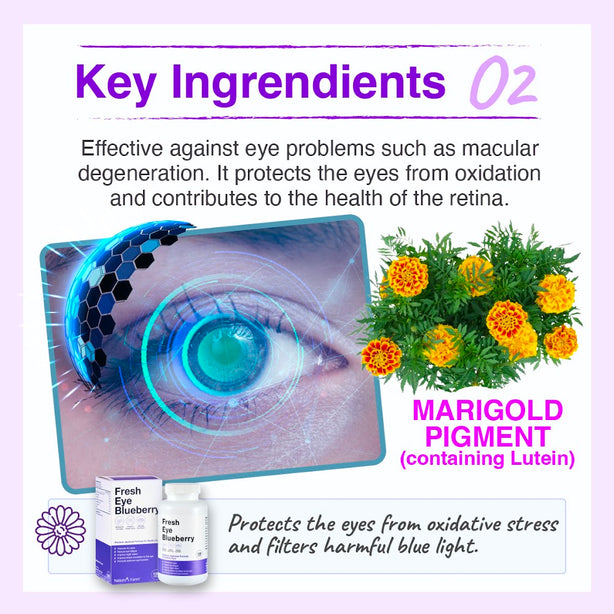 [Bundle of 2] Nature's Farm® Fresh Eye Blueberry 120s