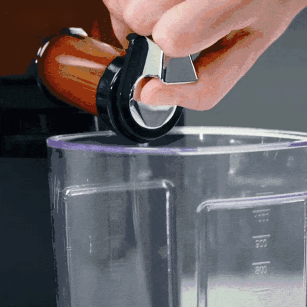 Kuvings Auto 10S Slow Juicer (Silver)