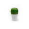 Qualy Tasty Cactus Salt/Pepper Grinder