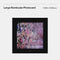 Rose LP Rose -R- Limited Edition with photo card set(International Shipping)