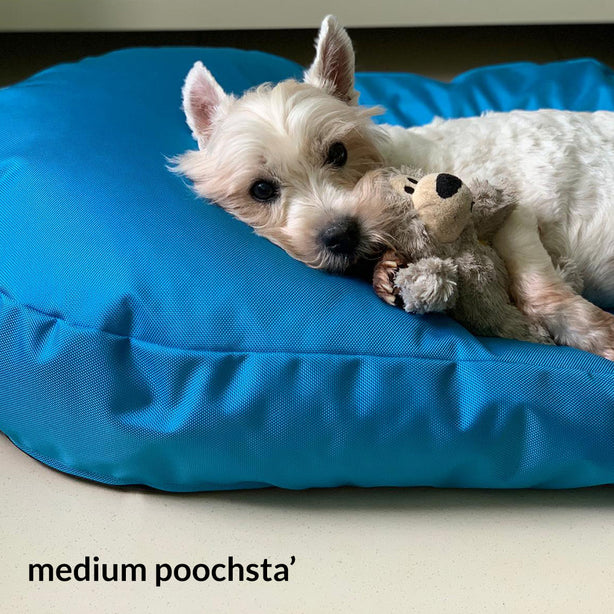 POOCHSTA'  - water-repellent doob bean bag pet bed