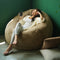 Arcadian - Cruelty-Free Fur SoftRock Living Bean Bag