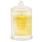 Triple Scented Soy Candle - A Tahaa Affair (vanilla Caramel)