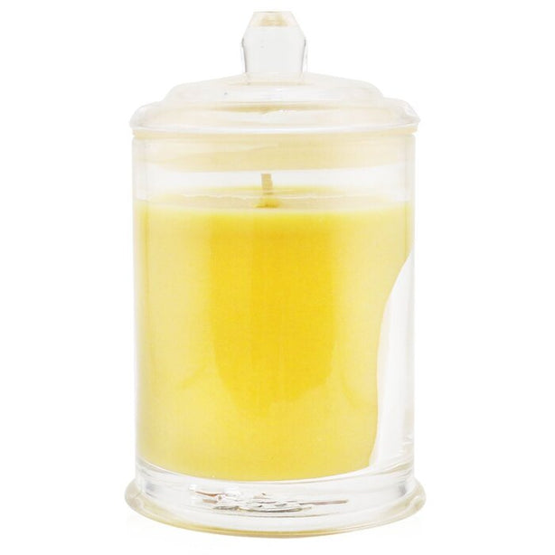 Triple Scented Soy Candle - A Tahaa Affair (vanilla Caramel)