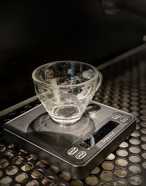 Smart Scale III