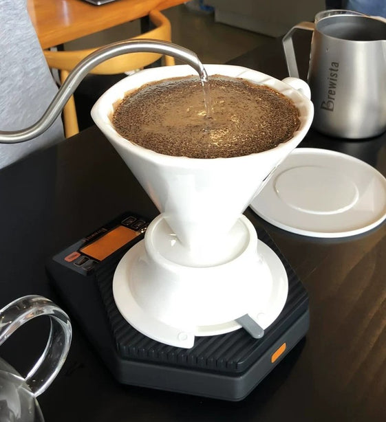 Smart Brew Porcelain Cone Steeping Filter-White