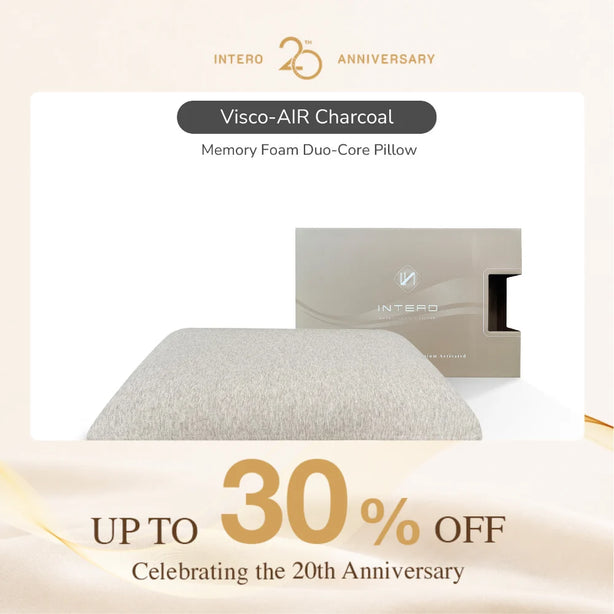 Intero Visco-AIR Premium BambooPRO Charcoal Memory Foam Pillow (Duo-Core)