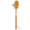 Body Detox Skin Brush - 1pc