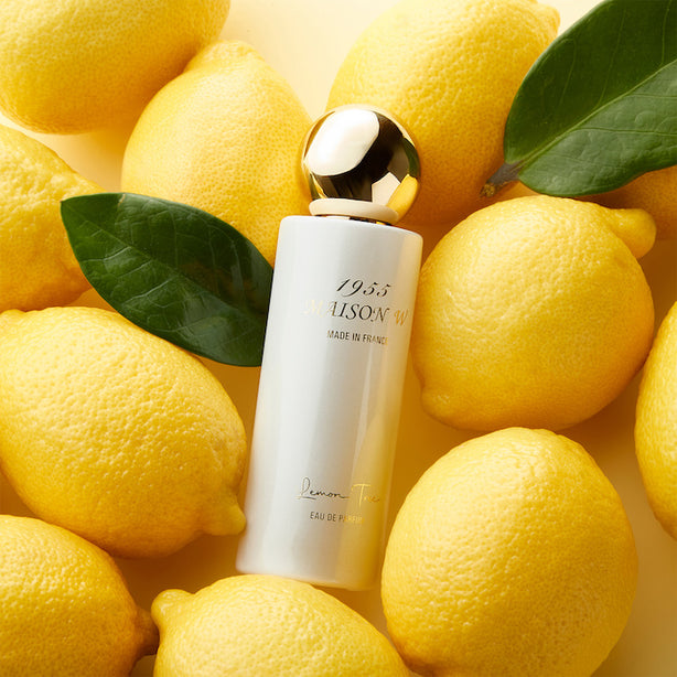 1955 Maison W Eau De Parfum 50ml (lemon Tree/santal Glow) - 50ml