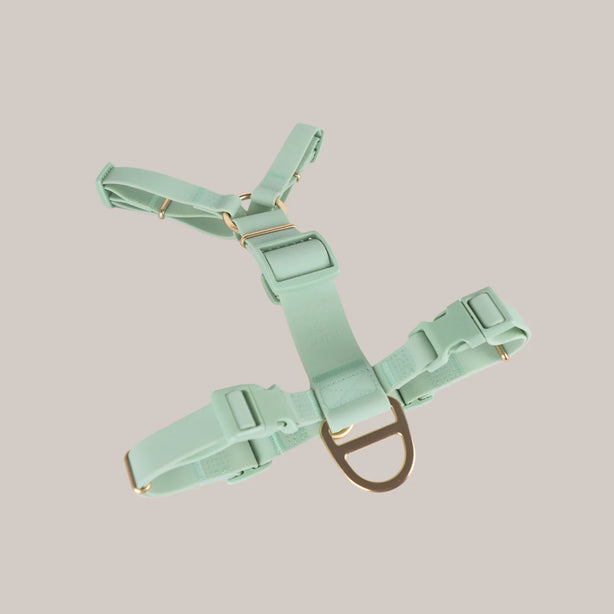 Komu Water-Resistant Y-Harness for Dogs