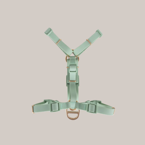 Komu Water-Resistant Y-Harness for Dogs