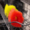 Zuutii Temperature-Sensitive Multipurpose Kiss Sponge