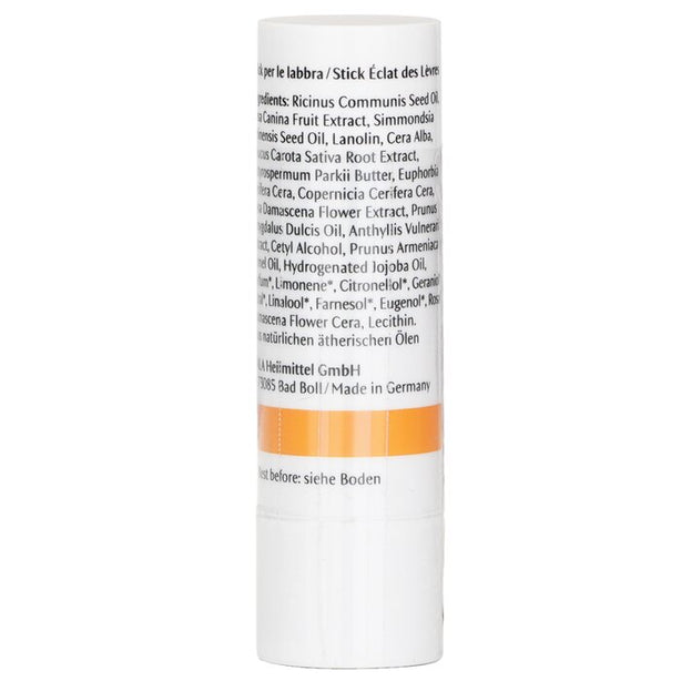 Lip Care Stick - 4.9g/0.16oz