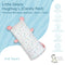 Little Zebra HugHug Pillow