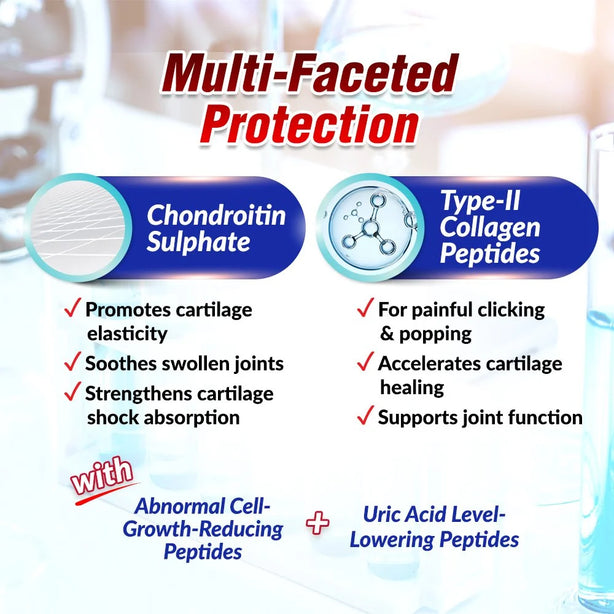 AFC SCP Cartilage Sensei Supreme Joint & Bone Pain & Healthy Uric Acid Level for Gout