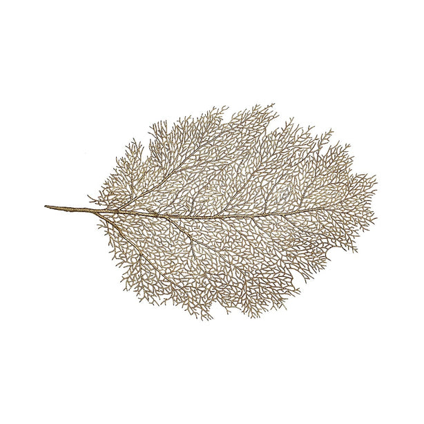 VINE Placemat | Acrylic Leaf - 35 x 47 cm
