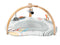 Skip Hop Discoverosity Activity Gym