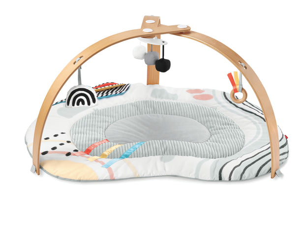 Skip Hop Discoverosity Activity Gym