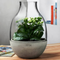 NUDE Eden Terrarium Clear with Moulded Concrete Base