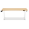 TTRacing Titus X Smart Desk