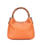 Diana Small GG Canvas Shoulder Bag - Beige and Dark Brown