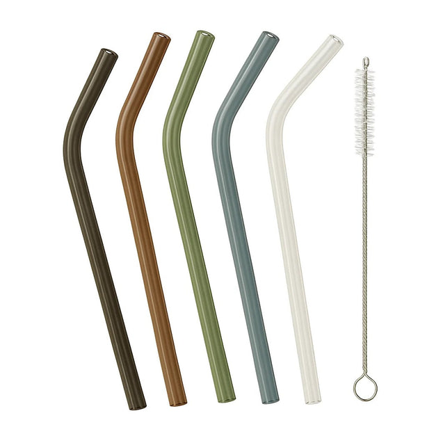 Glass Straws Set - set of 5