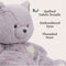 Gund Oh So Snuggly Kitten 12.5