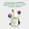Seaweed Detox Serum - 30ml