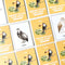 NYZE Alphabet Flash Cards & Memory Card Game Bundle of 2