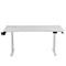 TTRacing Tivon Smart Standing Desk