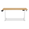 TTRacing Titus X Smart Desk