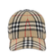 Check Baseball Cap
