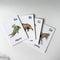 NYZE Early Learning A-Z Alphabet Flash Cards
