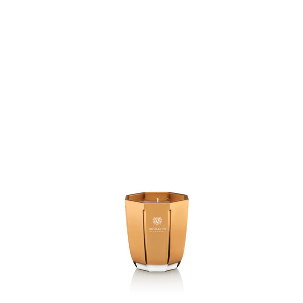 Vranjes Firenze Rosso Nobile - Mettalic Gold Candle (80g)