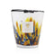 Baobab Collection Rainforest Mayumbe Candle (Max 16)