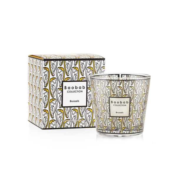 Baobab Collection My First Baobab - Brussels (Max 08)