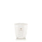 Vranjes Firenze Ginger Lime - Pearl White Candle (200g)