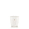 Dr. Vranjes Firenze Ginger Lime - Pearl White Candle (200g)