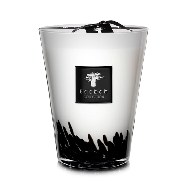 Baobab Collection Feathers Candle (Max 24)