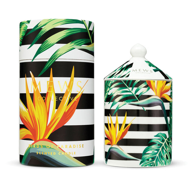Mews Collective 320g Soy Candle - Birds of Paradise