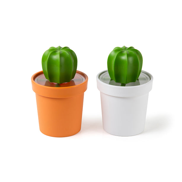 Qualy Cacnister Coffee/Tea Canister And Spoon
