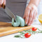 Ototo Blade - Knife Sharpener (Mint)